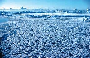 Frost flowers cleared of depleting ozone