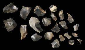 Did humans colonise north Europe earlier than thought?