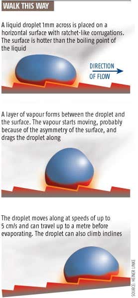 New Scientist. Science news and long reads from expert journalists, covering developments in science, technology, health and the environment on the website and the magazine.