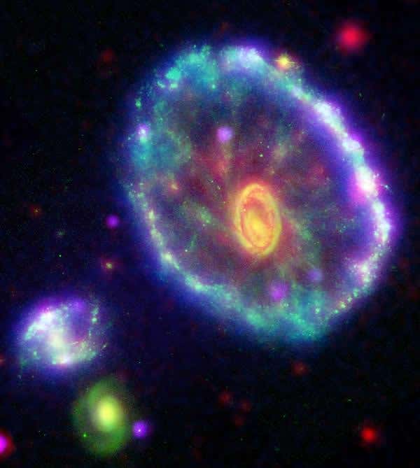 New Scientist. Science news and long reads from expert journalists, covering developments in science, technology, health and the environment on the website and the magazine.