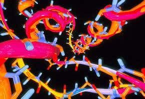 Prions may hold key to stem cell function