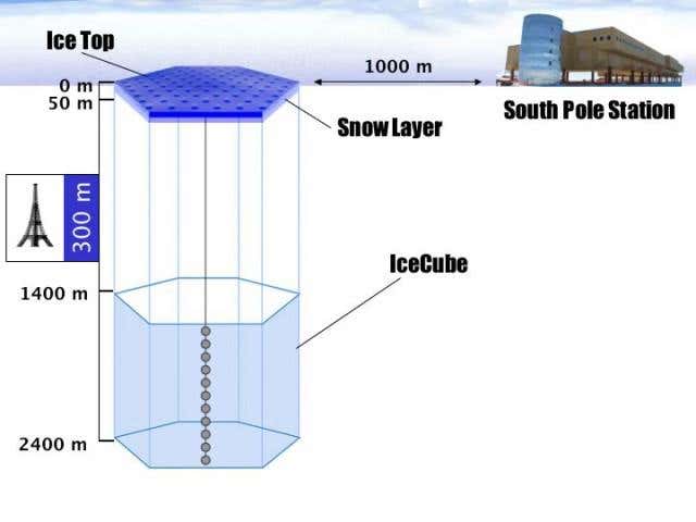 IceCube will occupy a volume of 1 cubic kilometre - one of its 80 strings of optical modules (number and size not to scale) is shown 