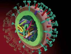 Special feature: The bird flu threat