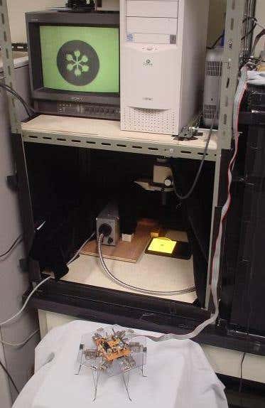 New Scientist. Science news and long reads from expert journalists, covering developments in science, technology, health and the environment on the website and the magazine.