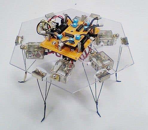 The six-legged hexapod robot is remotely-controlled by slime