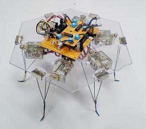 Robot moved by a slime mould's fears