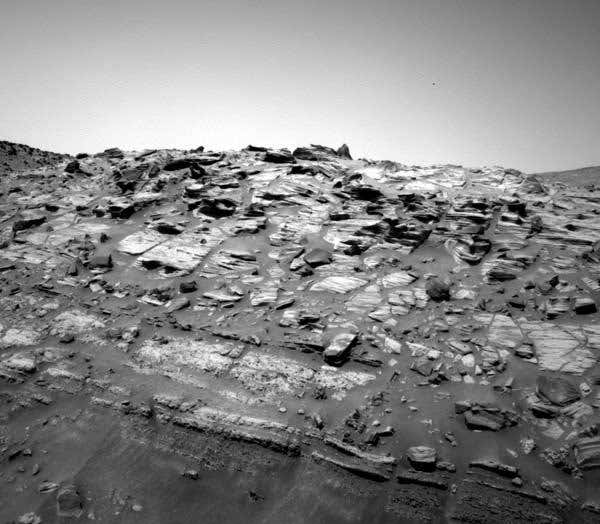 New Scientist. Science news and long reads from expert journalists, covering developments in science, technology, health and the environment on the website and the magazine.