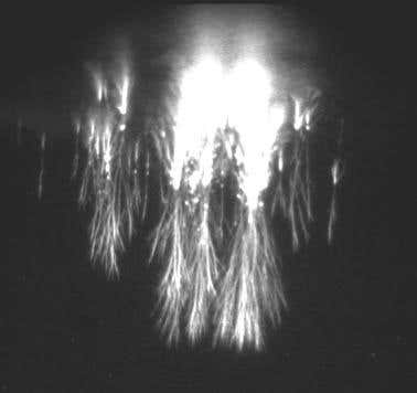 New Scientist. Science news and long reads from expert journalists, covering developments in science, technology, health and the environment on the website and the magazine.