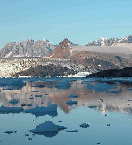 New Scientist. Science news and long reads from expert journalists, covering developments in science, technology, health and the environment on the website and the magazine.