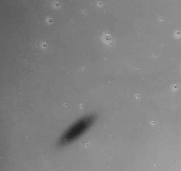 New Scientist. Science news and long reads from expert journalists, covering developments in science, technology, health and the environment on the website and the magazine.