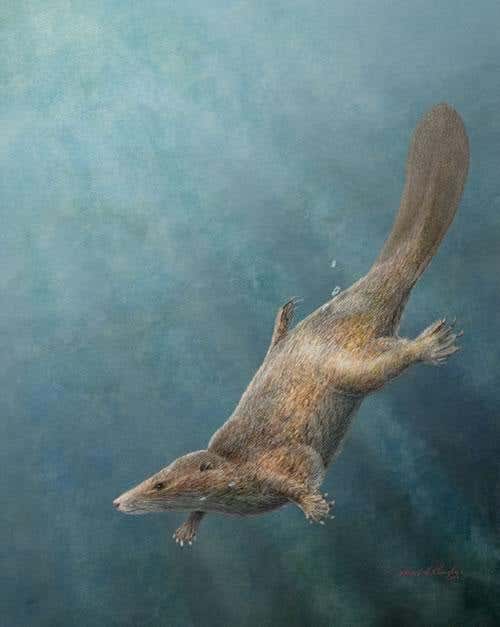 New Scientist. Science news and long reads from expert journalists, covering developments in science, technology, health and the environment on the website and the magazine.