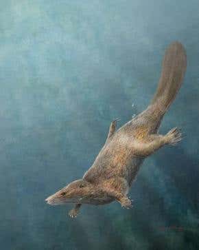 Weak immune response may cause Crohn's disease