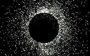 Life inside a black hole