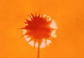 Worst case global warming scenario revealed