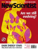 New Scientist issue 2542 cover