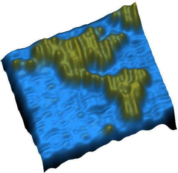 New Scientist. Science news and long reads from expert journalists, covering developments in science, technology, health and the environment on the website and the magazine.