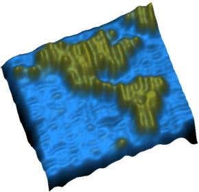 'DNA origami' creates map of the Americas