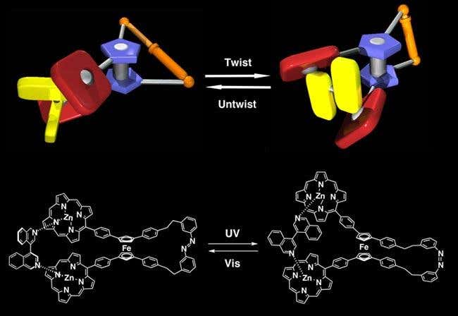 New Scientist. Science news and long reads from expert journalists, covering developments in science, technology, health and the environment on the website and the magazine.