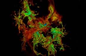 You don't need collisions to make an elliptical galaxy