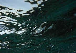 Global warming bubbles up from the ocean