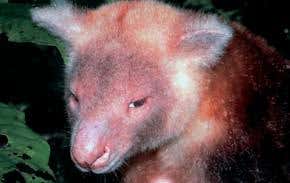 Hidden Garden of Eden wilts as Earth warms