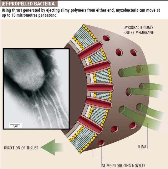 New Scientist. Science news and long reads from expert journalists, covering developments in science, technology, health and the environment on the website and the magazine.