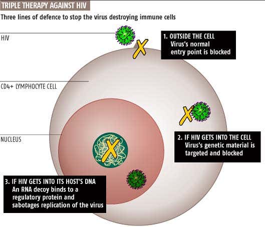 New Scientist. Science news and long reads from expert journalists, covering developments in science, technology, health and the environment on the website and the magazine.