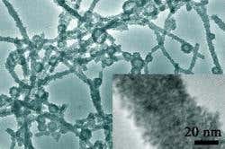 New Scientist. Science news and long reads from expert journalists, covering developments in science, technology, health and the environment on the website and the magazine.