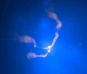 Black holes revealed in death spin