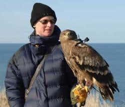 Eagle-cam provides aerodynamic insights