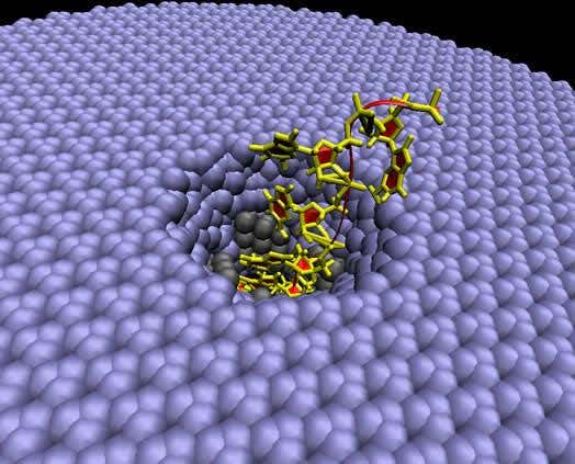 New Scientist. Science news and long reads from expert journalists, covering developments in science, technology, health and the environment on the website and the magazine.
