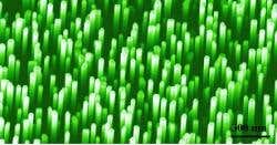 New Scientist. Science news and long reads from expert journalists, covering developments in science, technology, health and the environment on the website and the magazine.