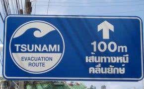 Will replanting coasts protect against tsunamis?