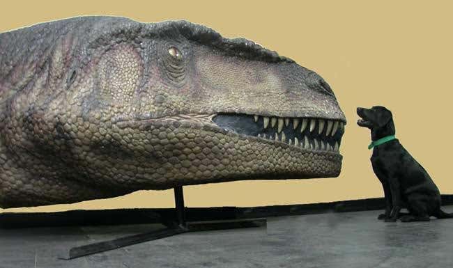 New Scientist. Science news and long reads from expert journalists, covering developments in science, technology, health and the environment on the website and the magazine.