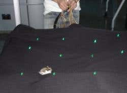 The real hamster's movements are tracked using infrared