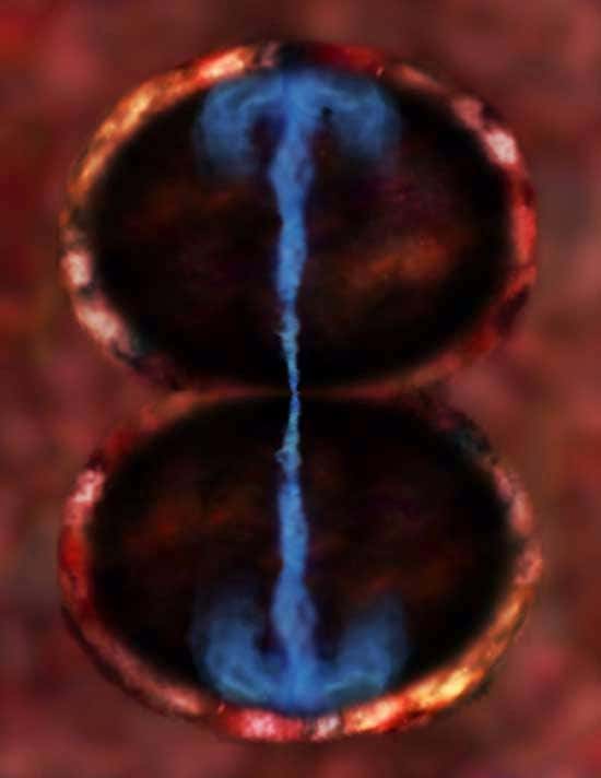 New Scientist. Science news and long reads from expert journalists, covering developments in science, technology, health and the environment on the website and the magazine.