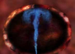 High efficiency of black hole 'engines' revealed