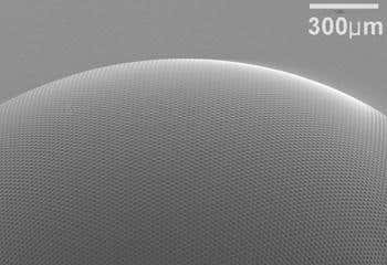 New Scientist. Science news and long reads from expert journalists, covering developments in science, technology, health and the environment on the website and the magazine.