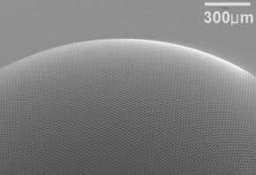 'Bug-eyed' lens takes a broader view