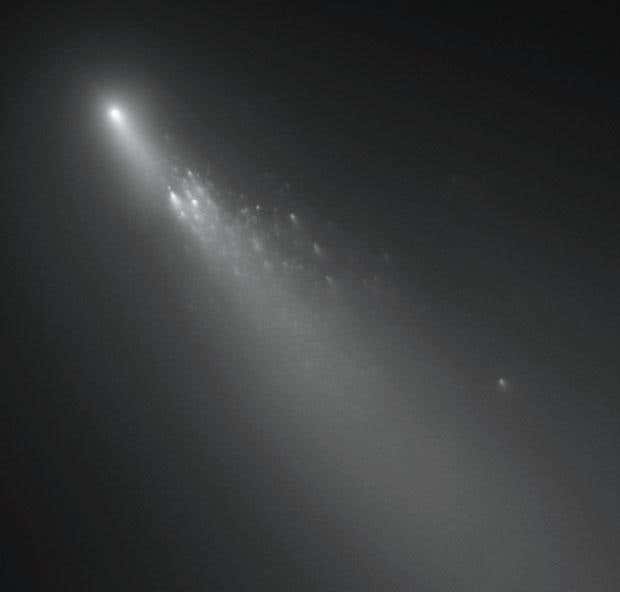 New Scientist. Science news and long reads from expert journalists, covering developments in science, technology, health and the environment on the website and the magazine.