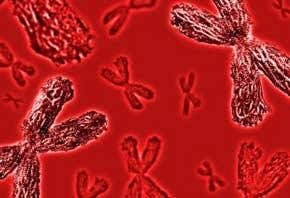 Genomics: We are all numbers