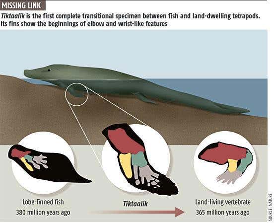New Scientist. Science news and long reads from expert journalists, covering developments in science, technology, health and the environment on the website and the magazine.