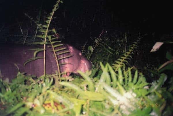 New Scientist. Science news and long reads from expert journalists, covering developments in science, technology, health and the environment on the website and the magazine.