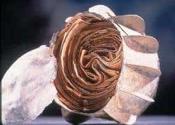 New Scientist. Science news and long reads from expert journalists, covering developments in science, technology, health and the environment on the website and the magazine.