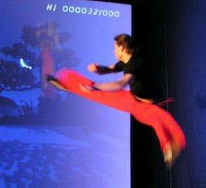 Kung-fu computer game delivers real kicks