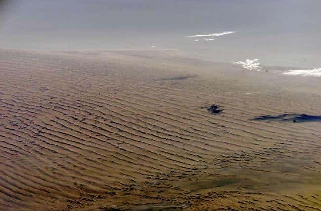 New Scientist. Science news and long reads from expert journalists, covering developments in science, technology, health and the environment on the website and the magazine.