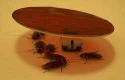 New Scientist. Science news and long reads from expert journalists, covering developments in science, technology, health and the environment on the website and the magazine.