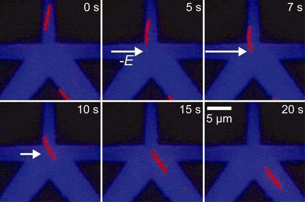 New Scientist. Science news and long reads from expert journalists, covering developments in science, technology, health and the environment on the website and the magazine.