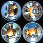 Watch language grow in the 'Baby Brother' house