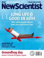 New Scientist issue 2554 cover